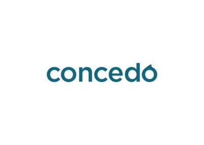 Research and Strategy project for Concido