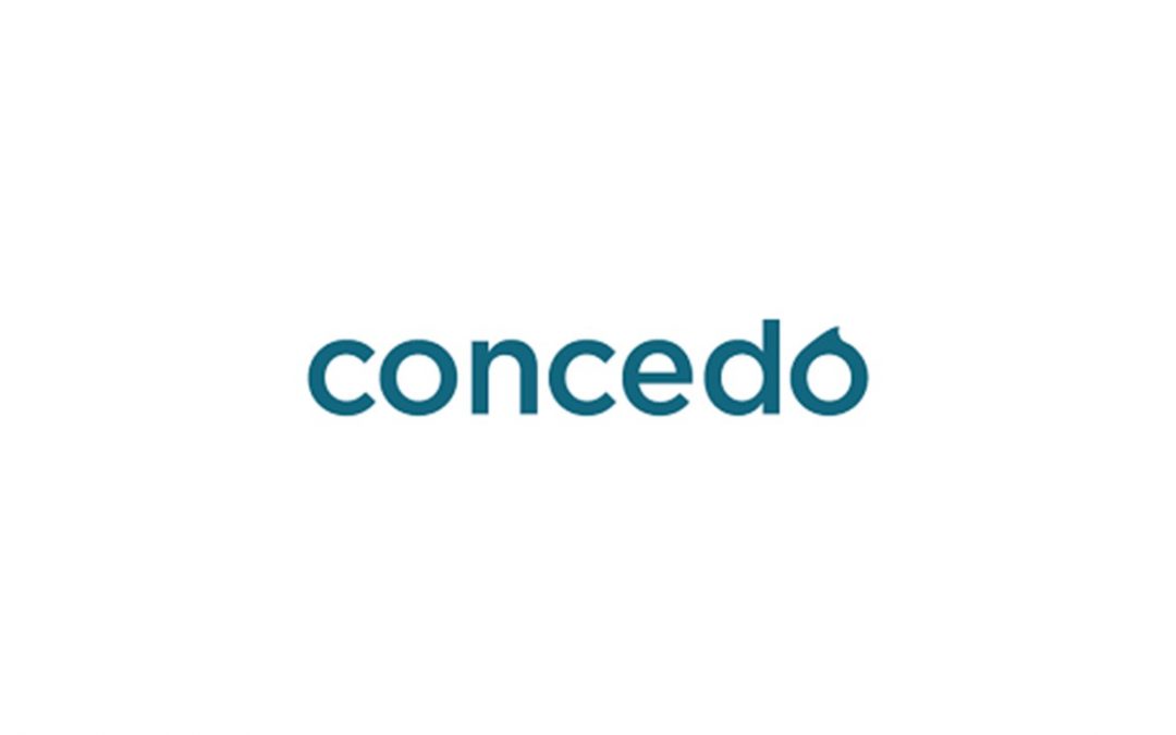 Research and Strategy project for Concido